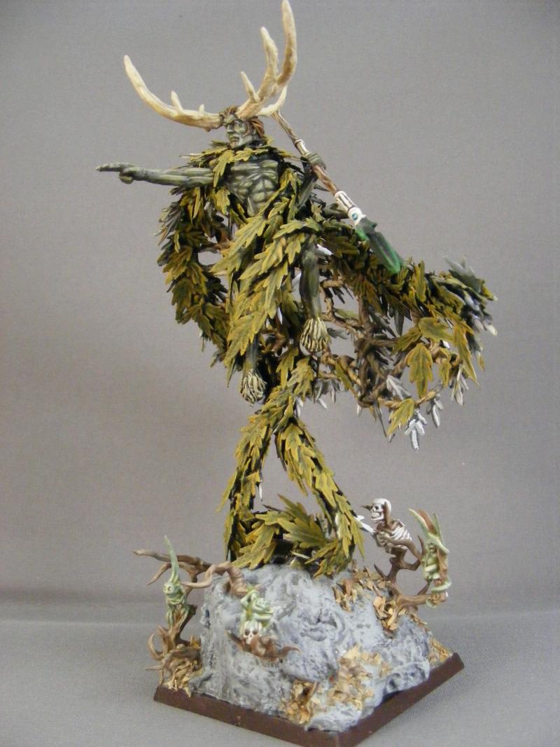 Conversion, Ctan, Orion, Wood Elves Gallery DakkaDakka